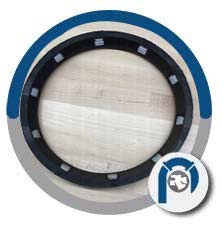Ductile Iron Field LOK Gaskets