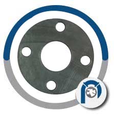 Graphite Male Female Flange Gaskets