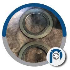 Hastelloy B2 Outer Ring Gasket