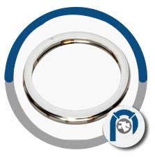 Nickel Alloy X-750 Spiral Wound Style R Gasket