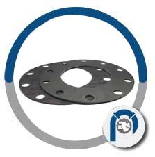 Non Metallic Flat Gasket
