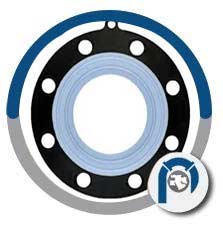 PTFE Flange Gasket
