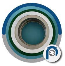 PTFE Inner Ring Spiral Wound Gasket