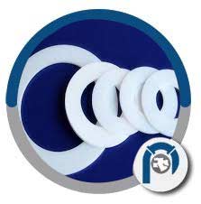 PTFE Ring Gasket