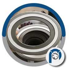 PTFE Spiral Wound Style CGI Gasket