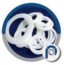 PTFE Type R Gasket