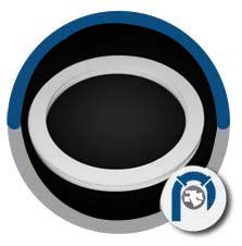Pure PTFE Gasket