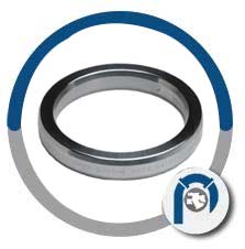 R Type Ring Joint Gasket