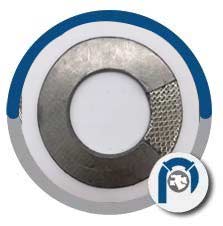 Reinforced Graphite Gasket