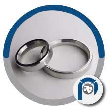 Soft Iron Ring Gasket