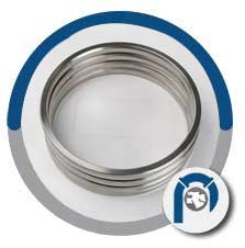 Soft Iron RTJ Gasket
