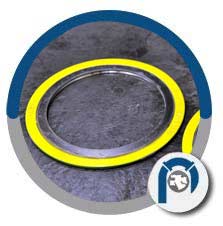 Spiral Wound Composite Gasket