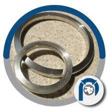 SS 304 BX-153 Ring Gasket