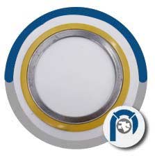 SS 316 Spiral Wound Style CG Gasket