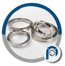 SS 316L BX 155 Ring Joint Gasket