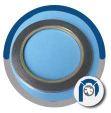 SS 317L Inner Ring Spiral Wound Gasket