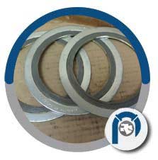 SS Style CGI Gasket