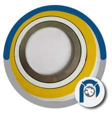 Titanium Spiral Wound Style CGI Gasket