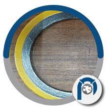 Titanium Spiral Wound Style RIR Gasket