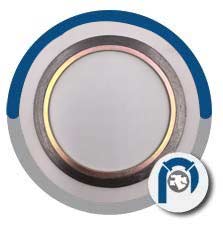 UNS N06600 Spiral Wound Style CG Gasket