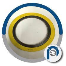 UNS N08020 Spiral Wound Style CG Gasket