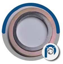 UNS S31703 Spiral Wound Style CG Gasket