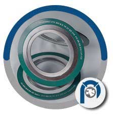 Werkstoff NR. 1.4541 Spiral Wound Style CGI Gasket