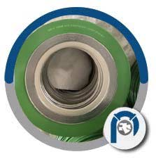 Werkstoff NR. 1.4550 Style CGI Gasket