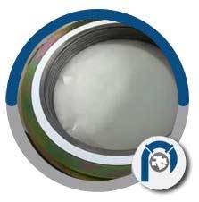 Werkstoff NR. 2.4617 Spiral Wound Style CGI Gasket