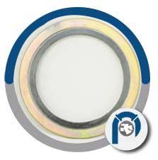 WNR 2.4660 Inner Ring Spiral Wound Gasket