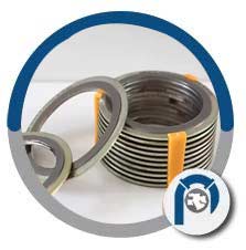 WNR.2.4669 Spiral Wound Style CG Gasket
