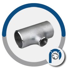 SA 403 WP317l reducing tee