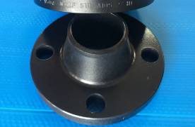 300LB ASTM A694 F42 WNRF Flange