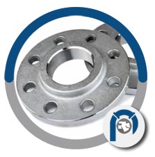 ASTM A182 F310 BLRF flange