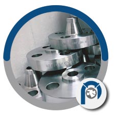 A182 Gr F316ti weld neck flange A182 Gr F316ti weld neck flange