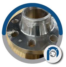 Alloy 20 Weld Neck Flanges