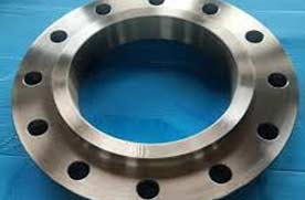 ANSI 300 AISI 316L Slip On Flanges