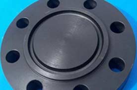 ANSI 600 LTCS Ring Type Joint Flange