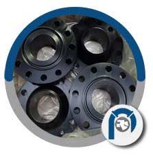 ANSI B16.47 Sr B 300# RTJ WN Flange ANSI B16.47 Sr B 300# RTJ WN Flange