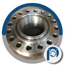 ANSI B16.47 Sr B 400# RTJ Wn Flange