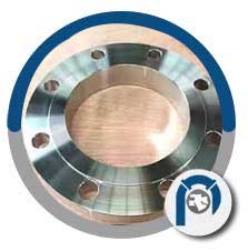 ANSI B16.5 Plate Flange ANSI B16.5 Plate Flange