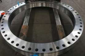 ASTM A182 Gr 304 Plate Flange