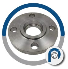 A182 GR F310 threaded flange