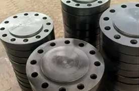 B16.47 300# Series B LTCS Blind Flange