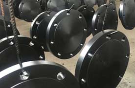 B16.47 Serie B 400 Lbs ASTM A694 F42 Blind Flange