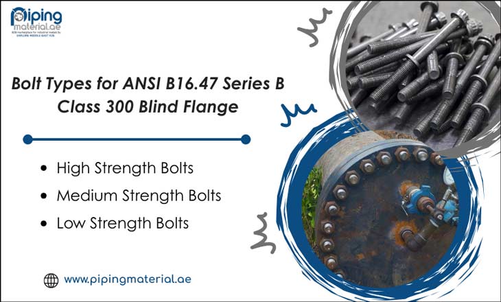 Bolt Types for ANSI B16.47 Series B Class 300 Blind Flange