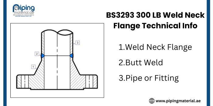 BS3293 300 LB Weld Neck Flange Technical Info