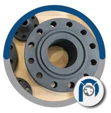 C22.8 Slip On Flanges