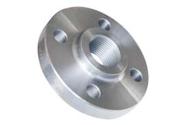 Duplex 1.4462 Threaded Flange