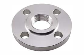 EN 1.4301 Thread-Type Flange